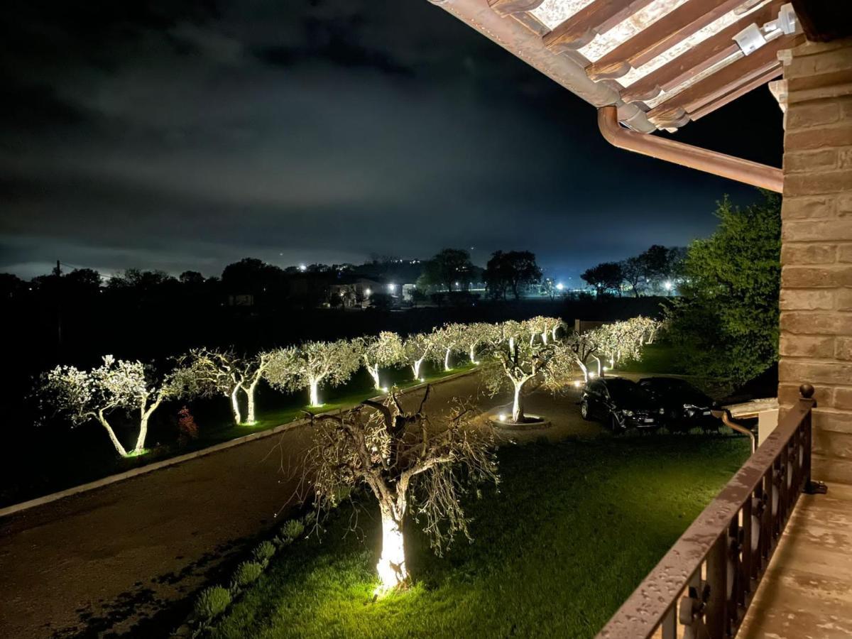 Torchiagina Opera Domini Asisium Bed & Breakfast エクステリア 写真
