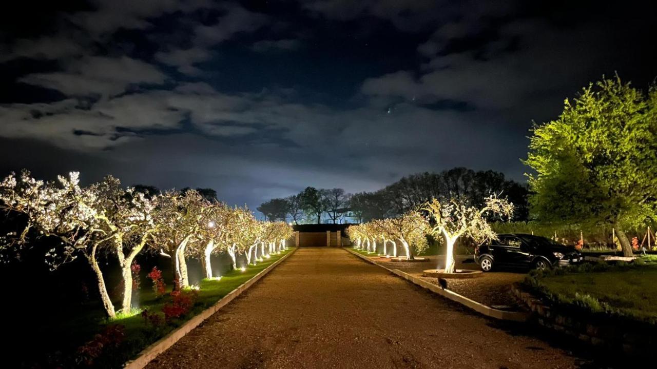 Torchiagina Opera Domini Asisium Bed & Breakfast エクステリア 写真